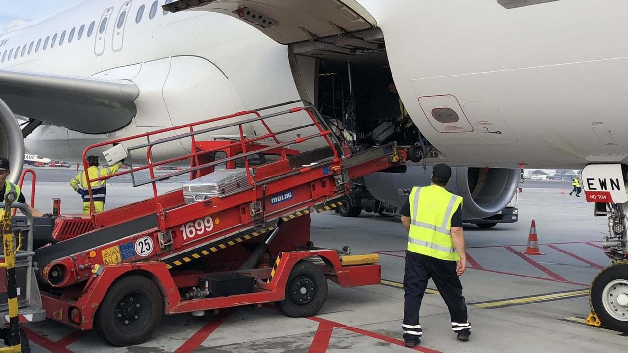 Ramp Agent (Havaalanı Yer Hizmetleri Personeli)