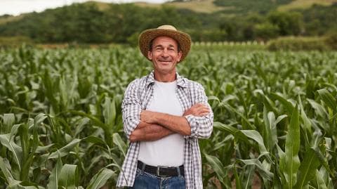 Agriculteur / Tarım İşçisi